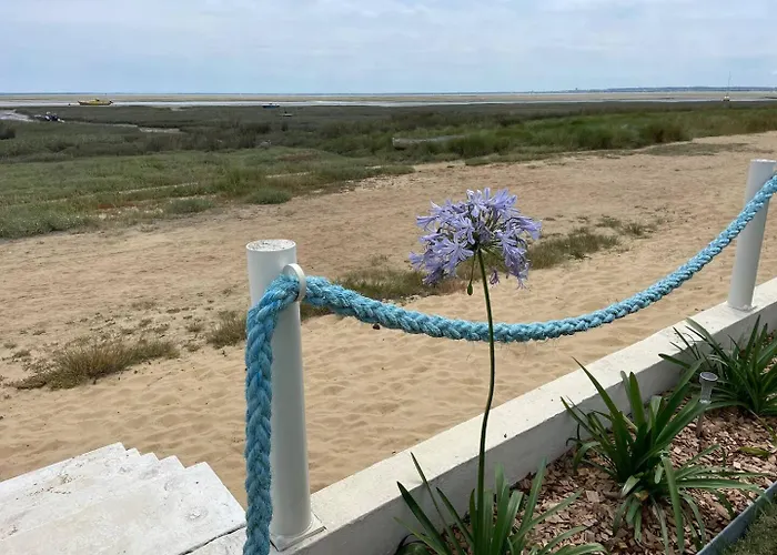 De Mer, Premiere Ligne, Et Piscine Lège-Cap-Ferret