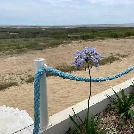 De Mer, Premiere Ligne, Et Piscine Lege-Cap-Ferret